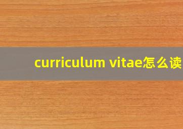 curriculum vitae怎么读